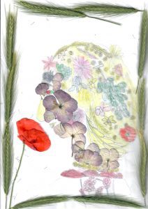 Rose-7 ans