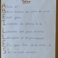 Astrid ,Alban ,Amaury et Arthur (14,12,8,6 ans)